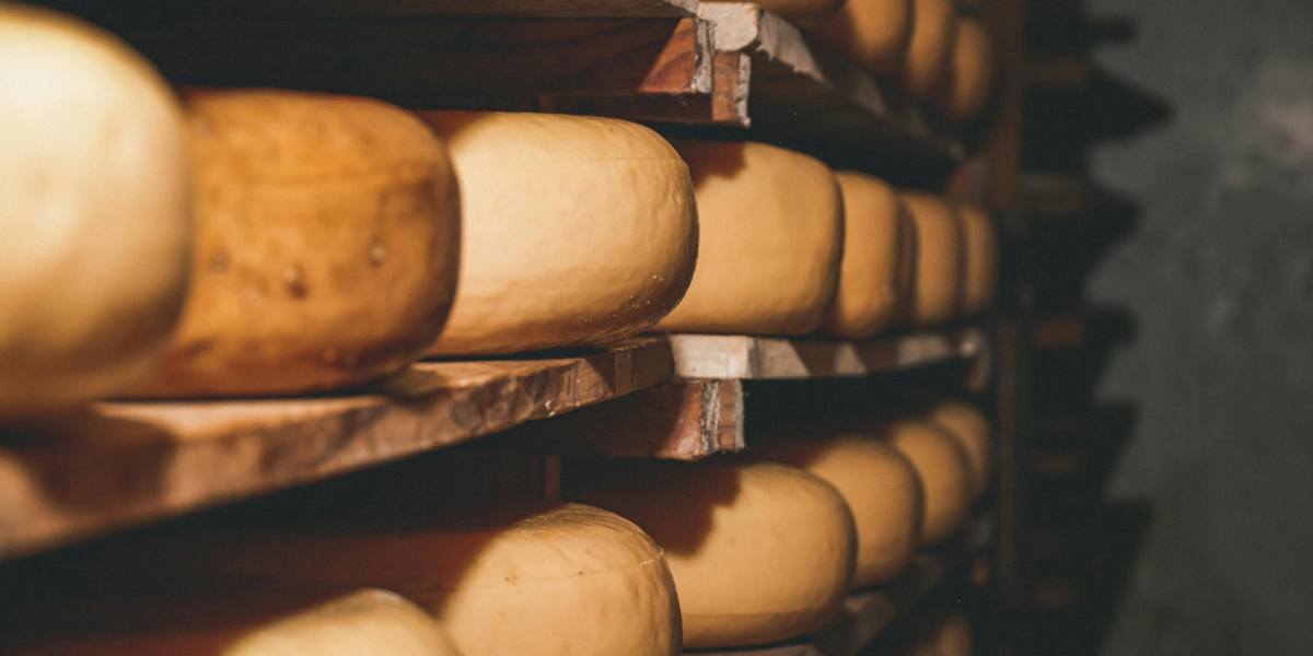 como conservar queso